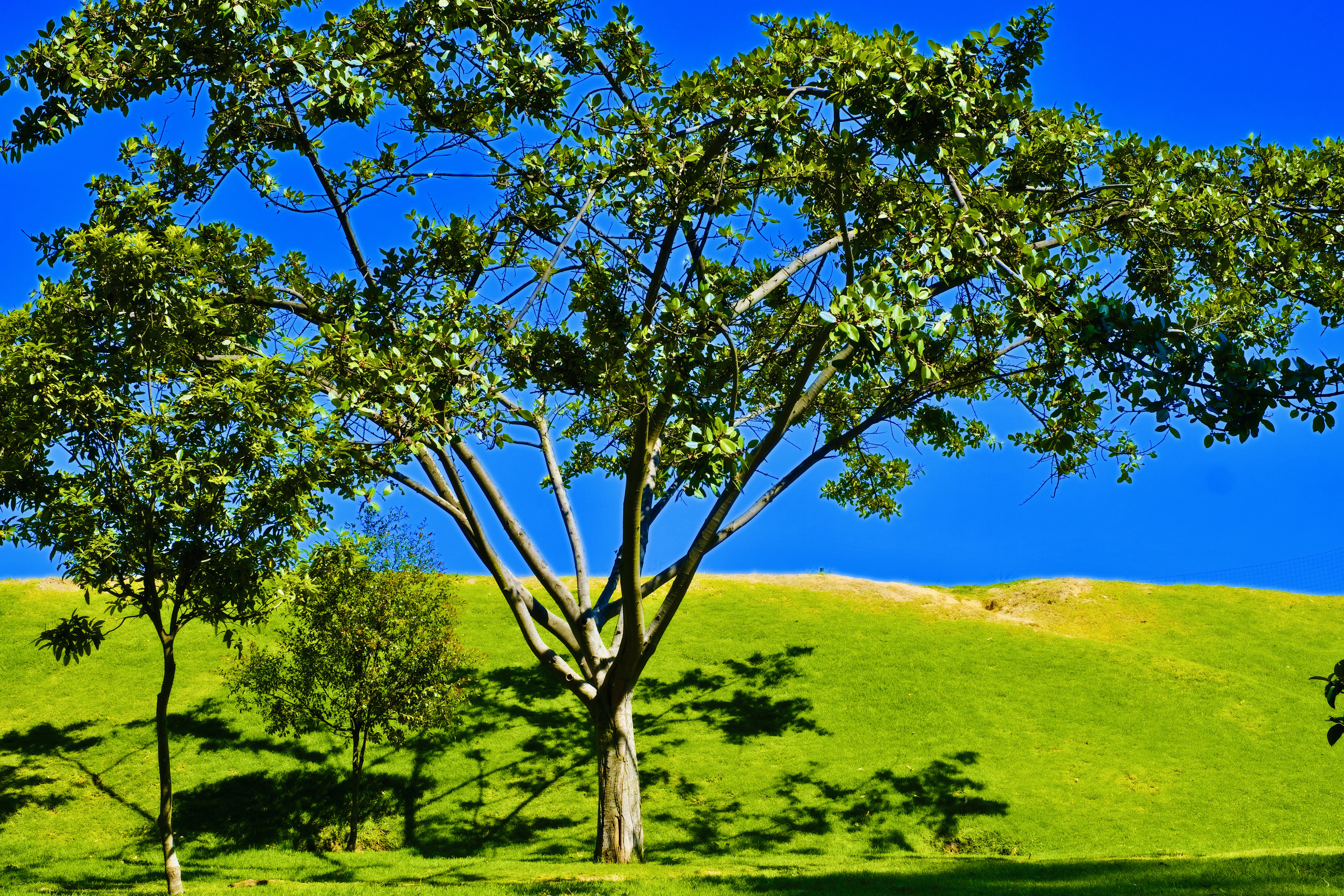 image of a community gathering (for a nonprofit & charity)